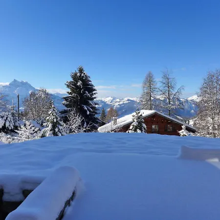 Chalet Petit Pont By Interhome