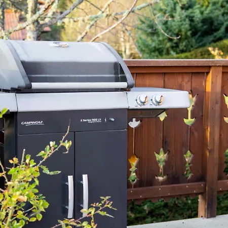 Petit Pont By Interhome *