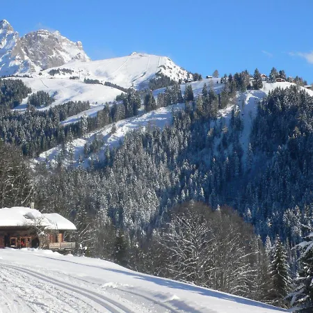 Petit Pont By Interhome Villars-sur-Ollon