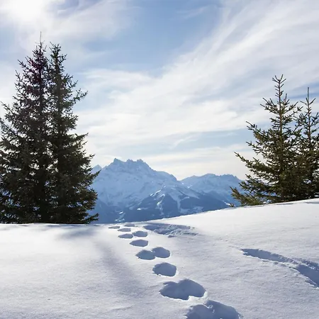 Chalet Petit Pont By Interhome *