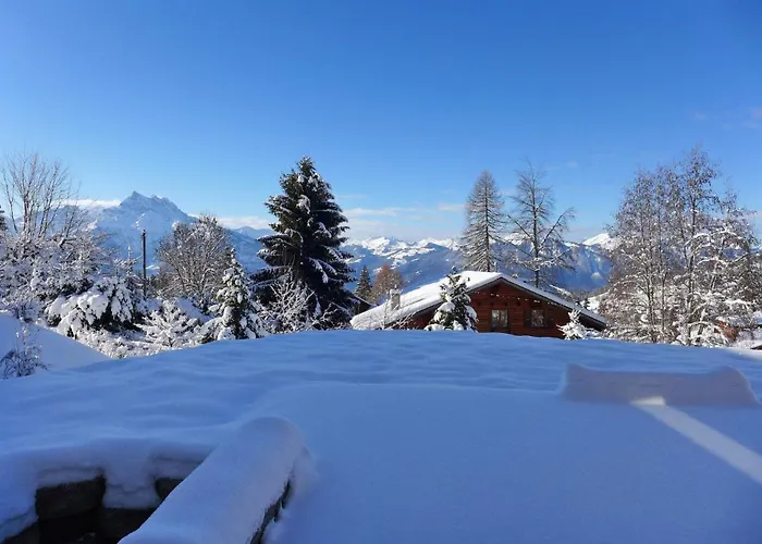 Chalet Petit Pont By Interhome