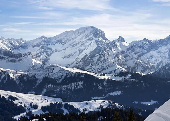 Chalet Petit Pont By Interhome Villars-sur-Ollon