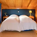 Petit Pont By Interhome * Villars-sur-Ollon