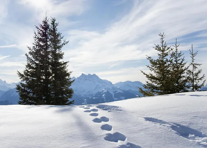 샬레 Petit Pont By Interhome *